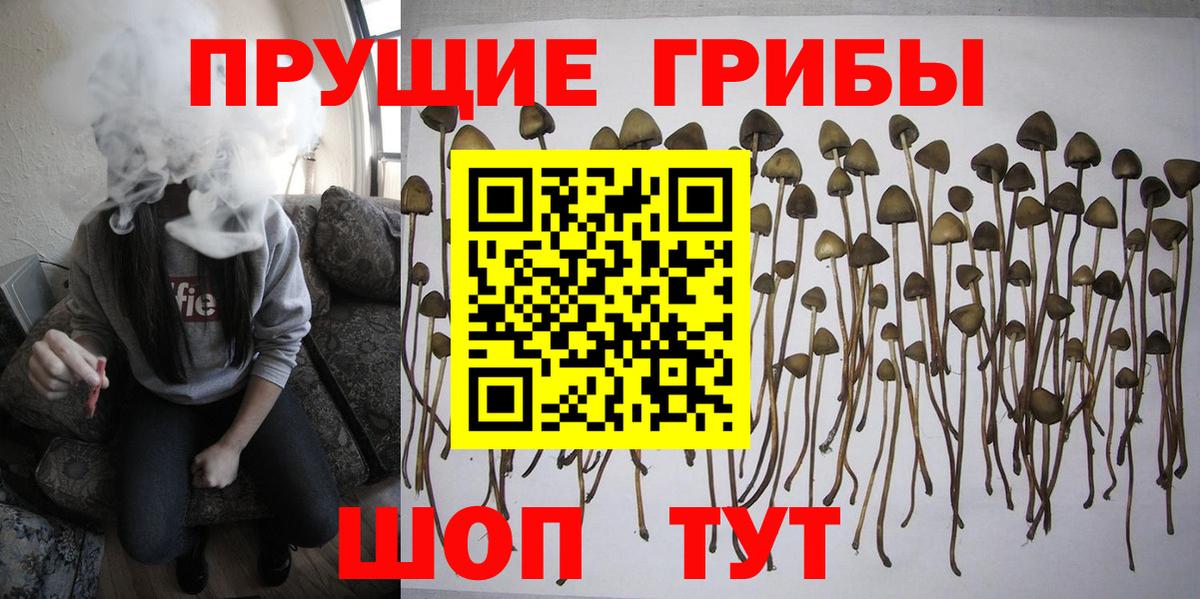 Псилоцибиновые грибы MAGIC MUSHROOMS  Вход с VPN  Новочебоксарск 